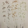 Multi-Strand Pearl-Style Illusion Choker